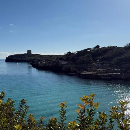 La Calma Espectacular Villa Con Jardin Y Piscina En Menorca S'Algar Exteriör bild